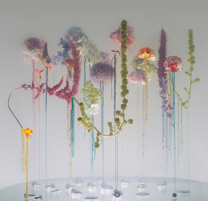 Anne Ten Donkelaar - flowers suspended in water