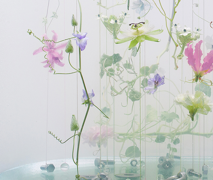 Anne Ten Donkelaar - flowers suspended underwater