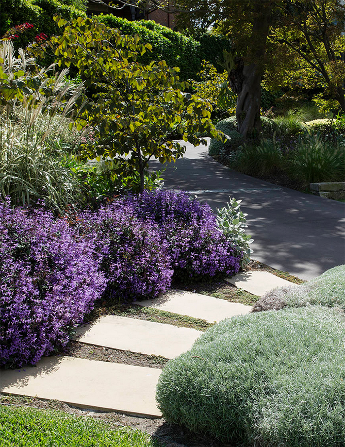 Another beautifully dense and well thought out front garden by Peter Fudge Design.