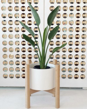 10 Best planters to buy online