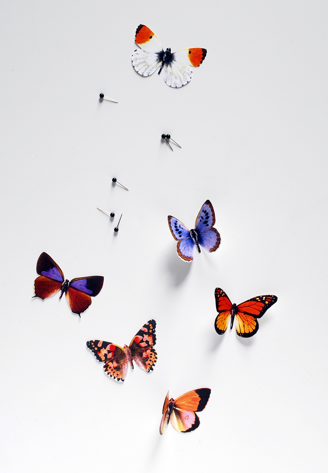 DIY Butterfly push pins with a free printable We Are Scout
