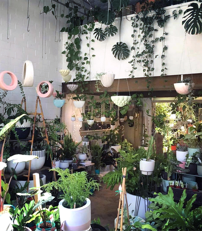 Destination Scout :: 10 Amazing Australian plant shops - We Are Scout